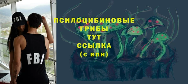 крисы Волоколамск