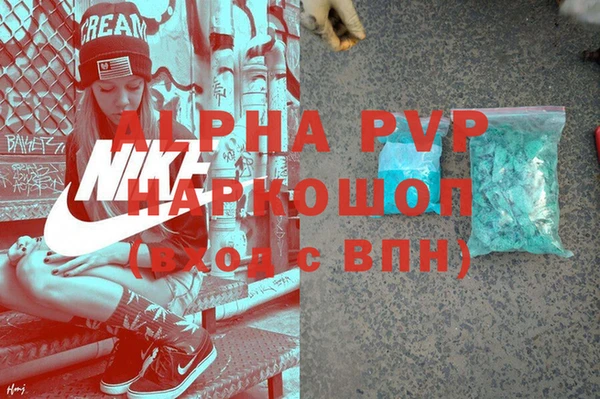 ПСИЛОЦИБИНОВЫЕ ГРИБЫ Сосновка
