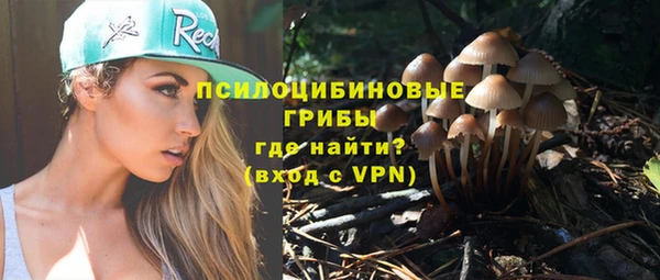 крисы Волоколамск