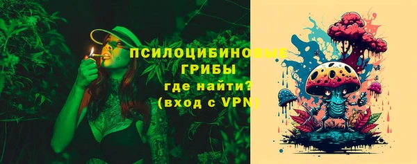 МДПВ Вяземский